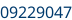 Numéro de châssis partie 2