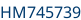 Numéro de châssis partie 2