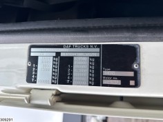 DAF XF 480