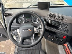 DAF CF 480