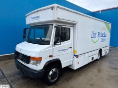 Mercedes Vario 815 D