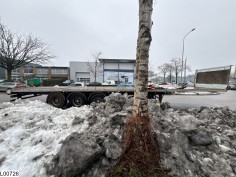 Trailor open laadbak