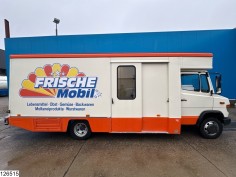 Mercedes Vario 813 D