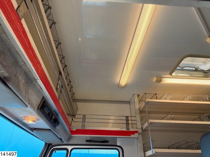 Mercedes Vario 816 D