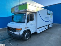 Mercedes Vario 816 D