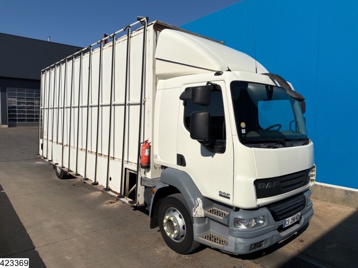 DAF LF 250