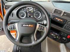 DAF CF 450