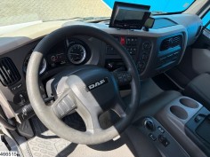 DAF LF 290