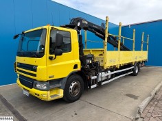 DAF CF 300