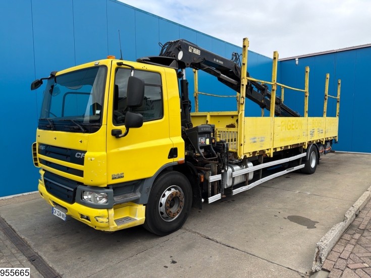 DAF CF 300