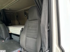 Scania P 450